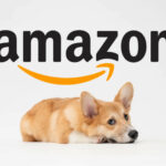 Tại Sao Trợ Lý ảo Của Amazon Có Tên Là Rufus? 03