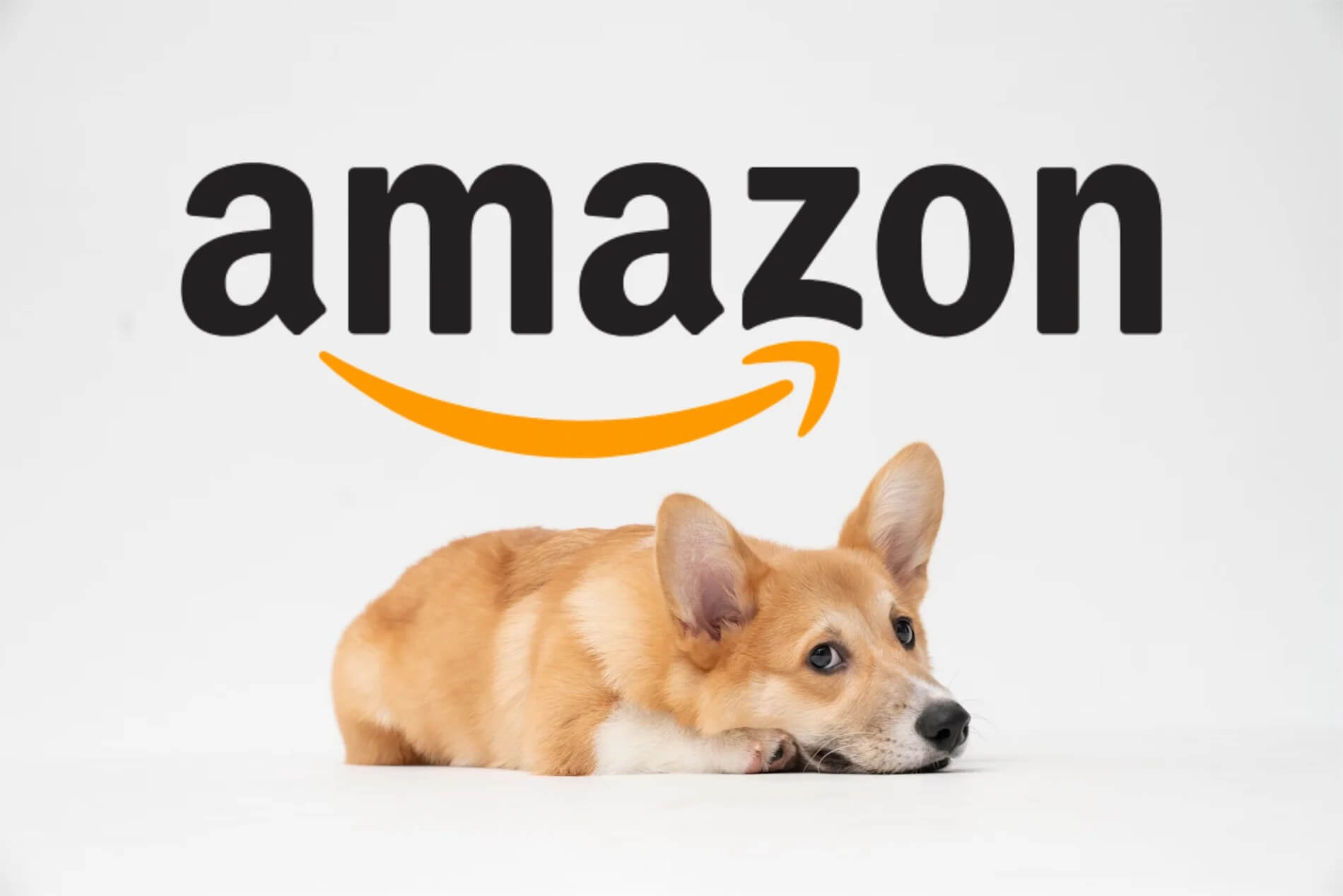 Tại Sao Trợ Lý ảo Của Amazon Có Tên Là Rufus? 03