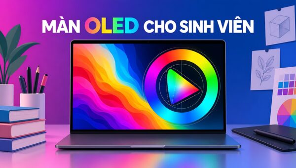 Laptop sinh viên làm đồ họa – Màn hình OLED chuẩn màu hay card rời mạnh?